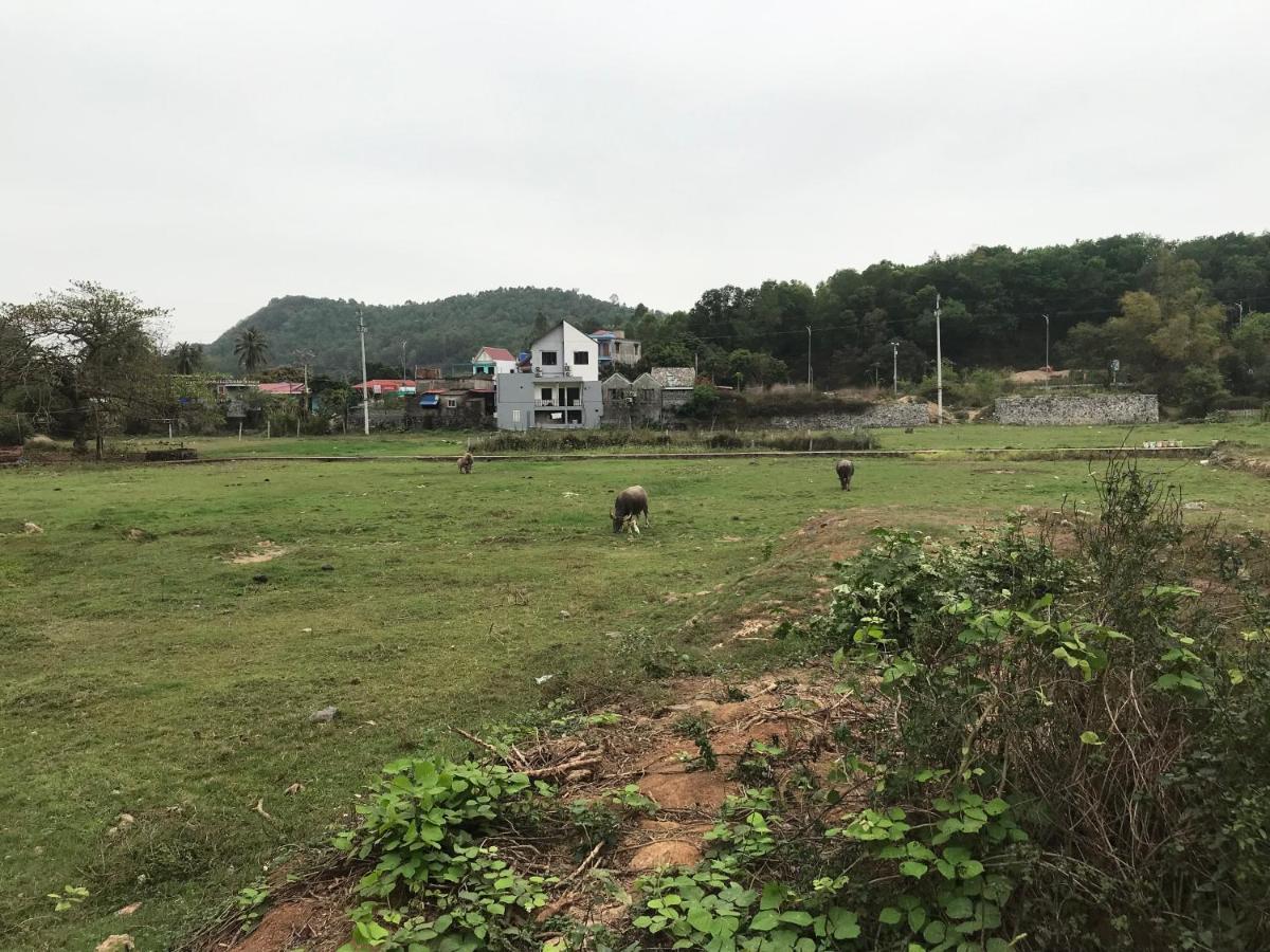 Bee Lucky Homestay Xuan Dam Eksteriør bilde