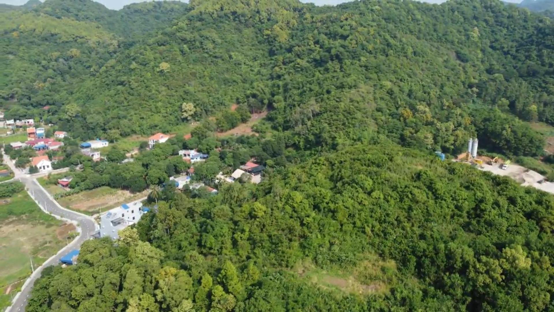 Bee Lucky Homestay Xuan Dam Eksteriør bilde